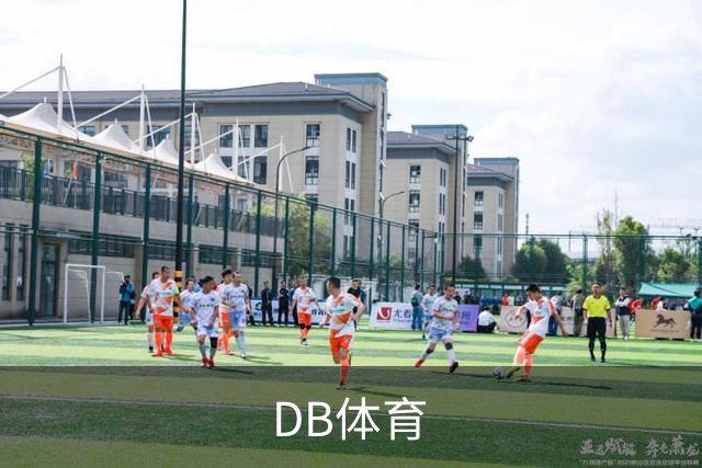 DB体育公司介绍展示图